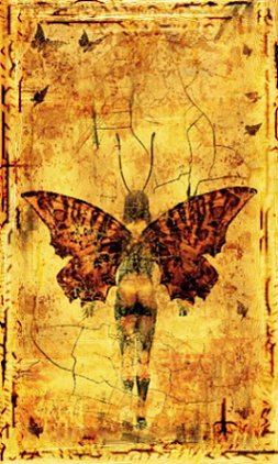 Butterfly Man, Dominic Harman