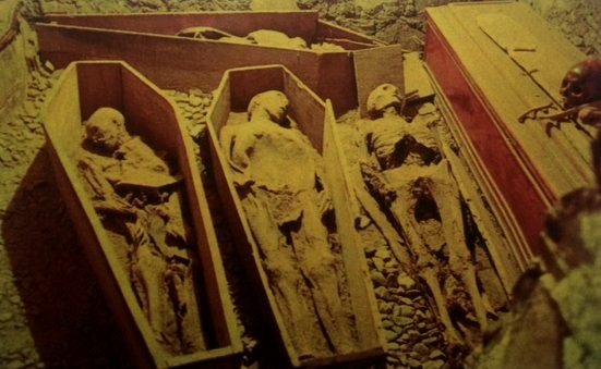 The mummies of St. Michan's