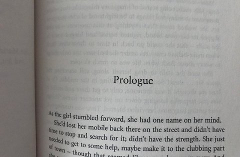 Prologue, Her Last Secret, by PL Kane