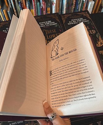 photograph of a woman's hand holding a copy of In These Hallowed Halls, edited by Marie O'Regan and Paul Kane, open at the title page of the story The Hare and the Hound by Kelly Andrew. There's a pen drawing of a hare at the top of the page