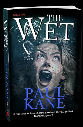 photograph of a standing copy of the book The Wet by Paul Kane