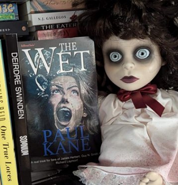 photograph of a copy of The Wet by Paul Kane, alongside a creepy doll in a white dress with a red bow around its neck