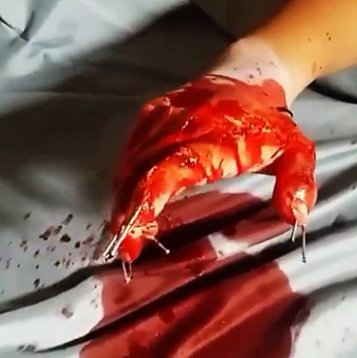 Make-up test for The Torturer - bloodied hand, nails in fingernails