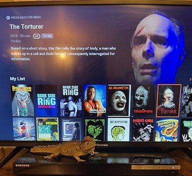 Screenshot of TV display featuring The Torturer on Tubi