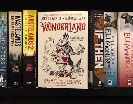 Shelf display of Wonderland, edited by Marie O'Regan and Paul Kane