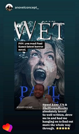 screenshot from anovelconcept - showing the cover of THE WET by Paul Kane