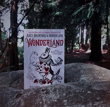 Display featuring Wonderland, edited by Marie O'Regan and Paul Kane